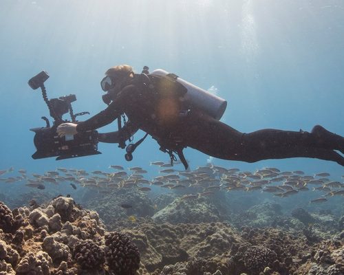 digital-underwater-photographer