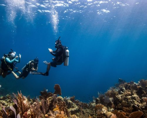 discover-Scuba-diving